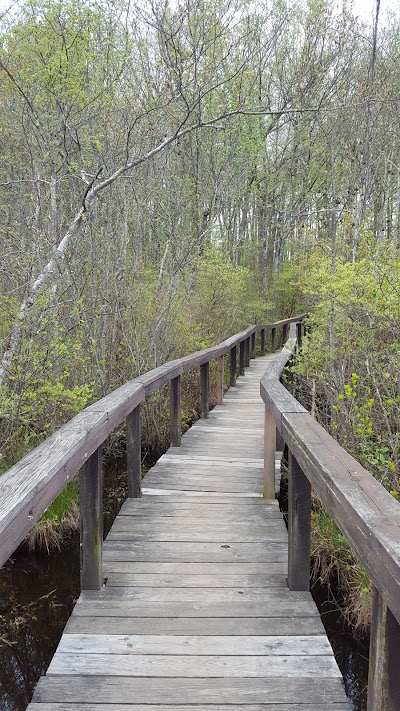 Photos of Dinosaur State Park
