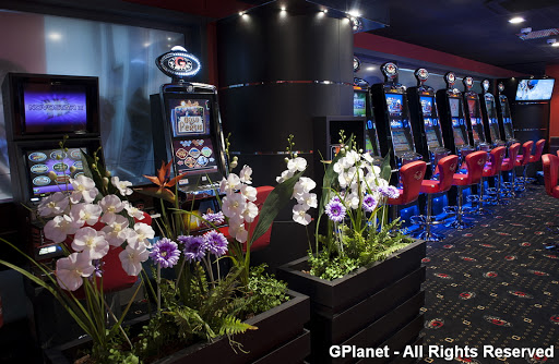 GPLANET ANCONA - Visual