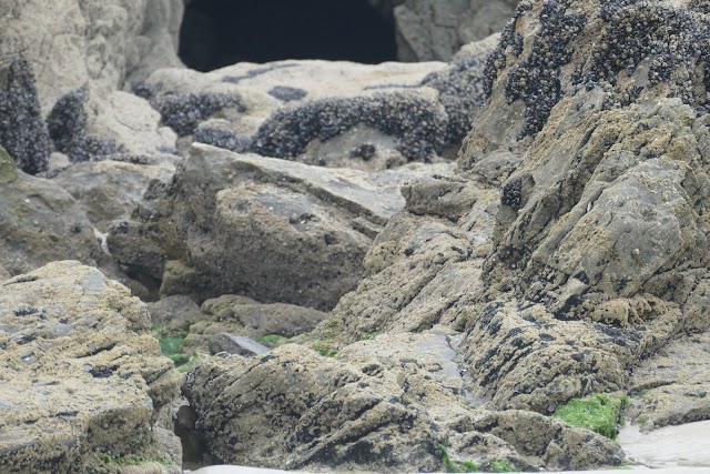 Plage du Ris