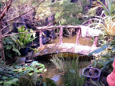 Photos of Wali Indonesia