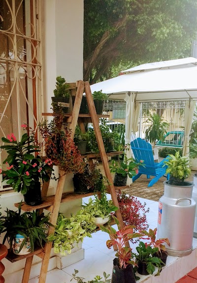 Photos of La Tertulia Caf&eacute;