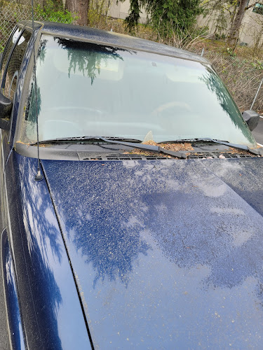 Cal & His Dog Spot Auto Detail