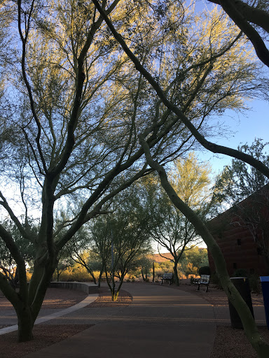John F. Prince Library and Media Center - Thumbnail