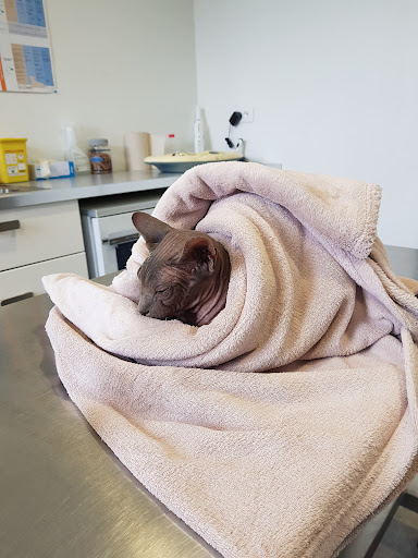 Veterinary Clinic NEMOVET - Thumbnail