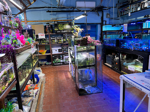 Pacific Aquarium & Plant - Thumbnail