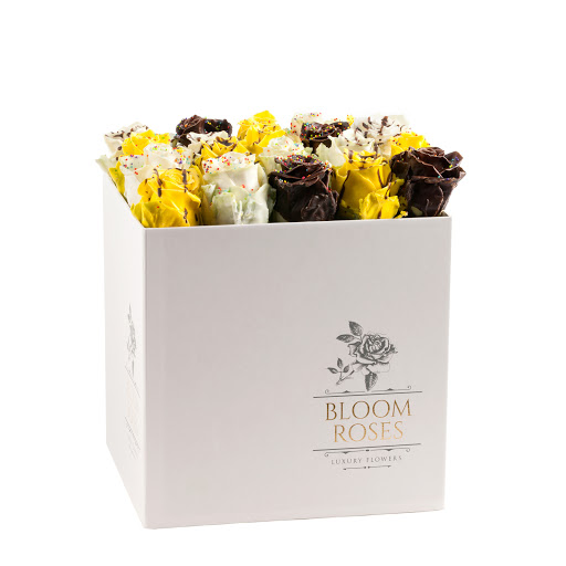 Bloom Roses - Visual