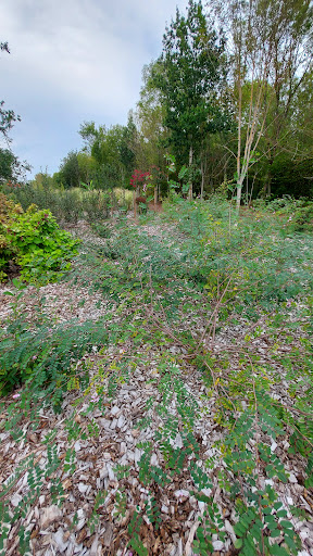 Camping "Le Bois du Bouquet" - Thumbnail