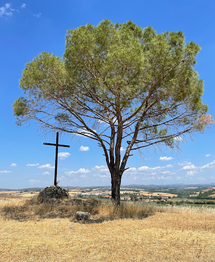 Croce al pino