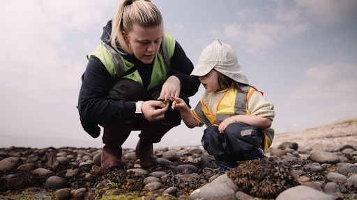 Lathallan Nursery - Thumbnail
