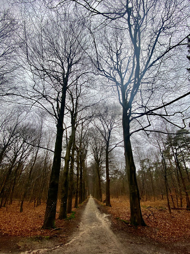 Boswachterij Amerongse Berg