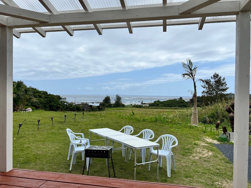 アヤマルソウ/AYAMARUSOU