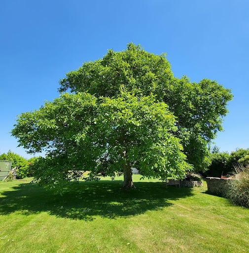 Pitts Farm Cottages, Somerset