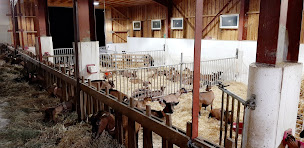 Photo n°16 de La Chèvrerie des 7 Laux à Theys (Ferme à visiter)