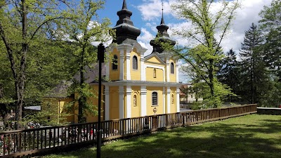 Photos of Basilica of the Virgin Mary