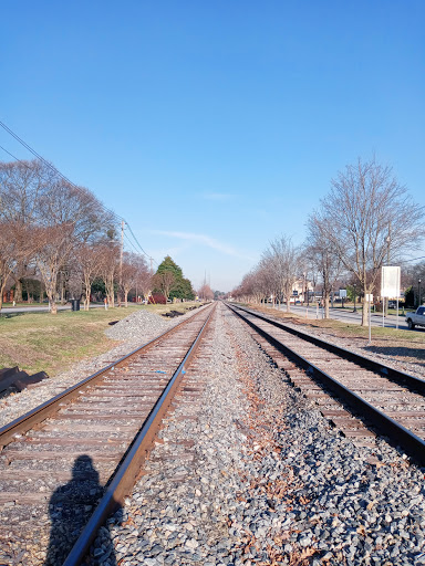 S Central Ave & Dogwood Dr - Thumbnail