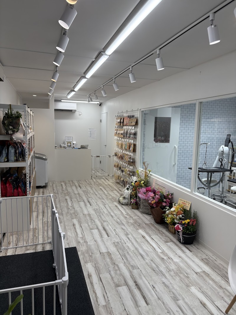 brother dogs 2nd base