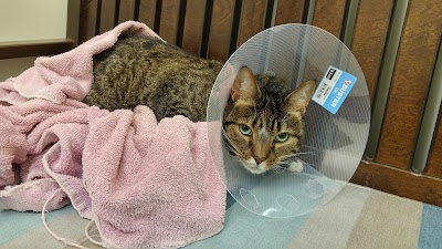 Photos of Cape Cod Veterinary Specialists