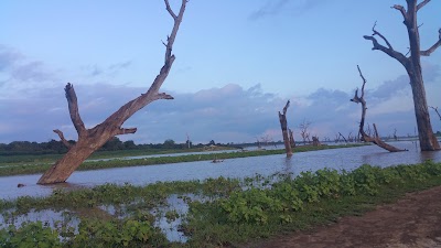 Photos of The Mastodon Valley Safari Resort