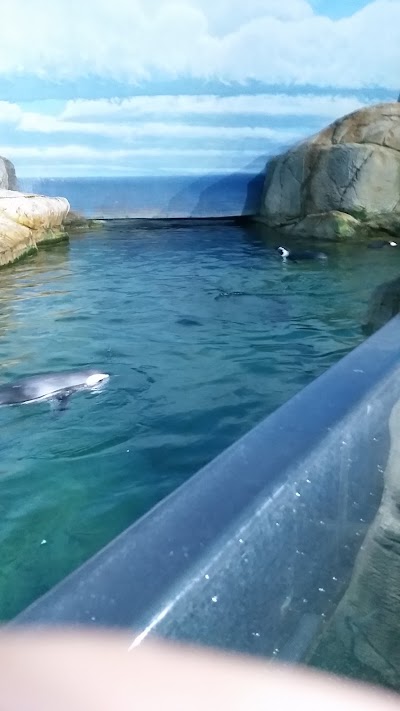 Photos of John Ball Zoo