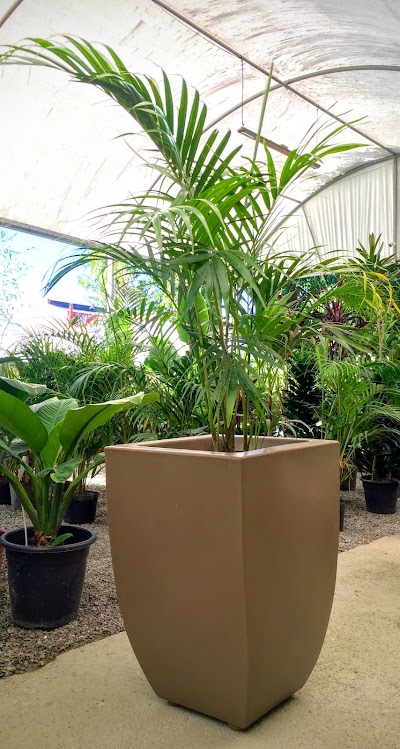 Photos of Serenar Floricultura