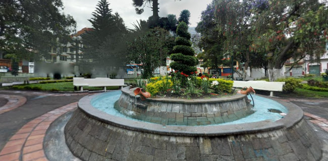 Palomino Flores (Parque Central)