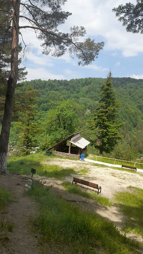 Comentarii opinii despre Focul Viu de la Andreiașu de Jos