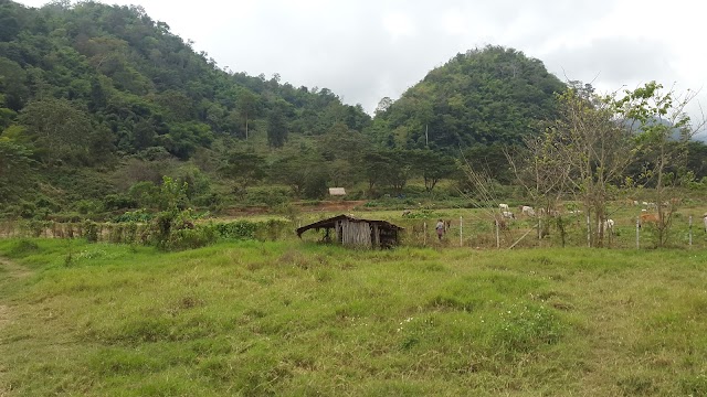 Elephant Nature Park Office