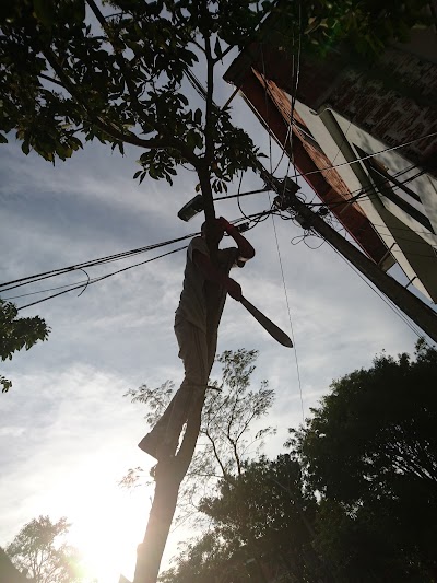 Photos of parque Quinta Linda