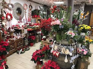 Photo n°23 de L'agapanthe à Hoenheim (Fleuriste)