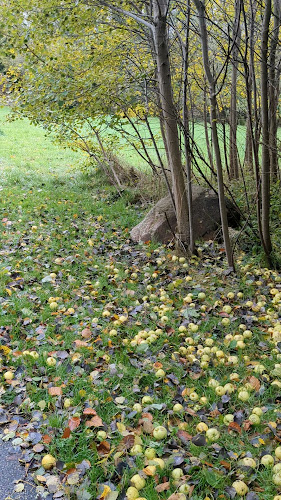 Opinii despre Marienlyst Golfklub în Aarhus - Golfklub