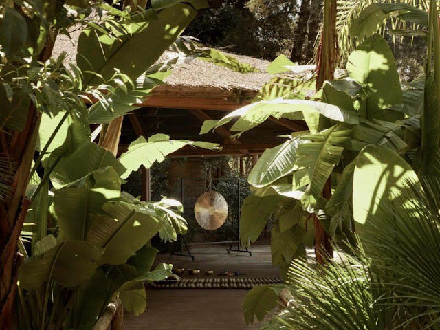 F ZEEN KEFALONIA - Adults Only by null