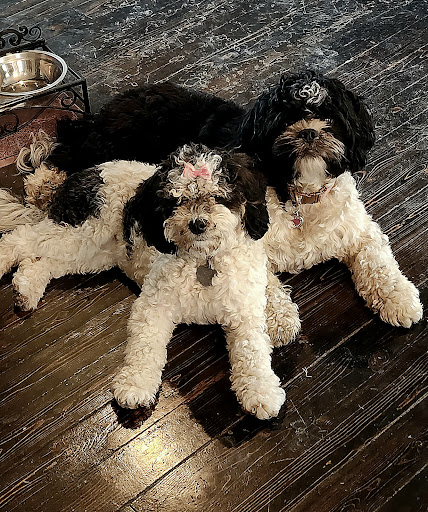 Restoring Hope Substance Abuse & Mental Health Services