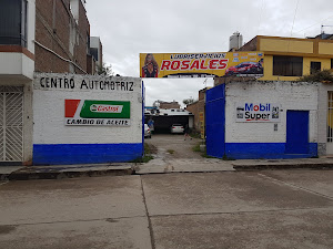 Lubriservicios ROSALES 3