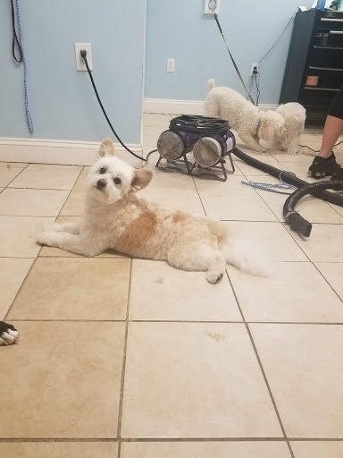 Barking Beauties Pet Salon