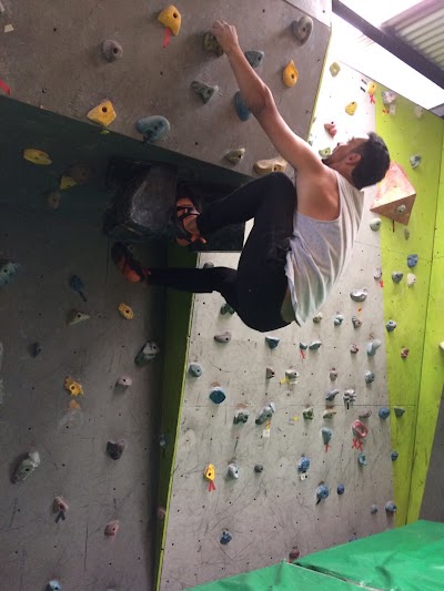 Photos of Climbing the house Bloke