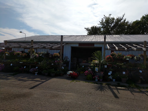 Poci Market