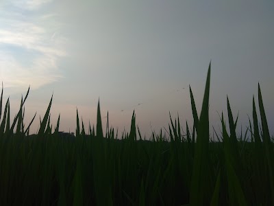 Photos of জমাদ্দার ব্রীকস