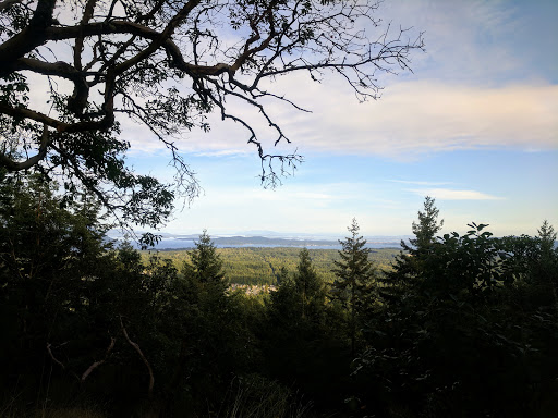 Quarry Nature Park - Thumbnail