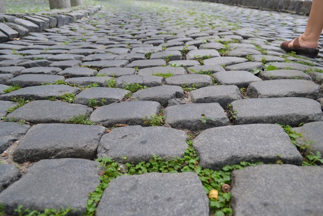 Fort Tryon Park