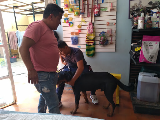 Clínica Veterinaria GLEMAVET