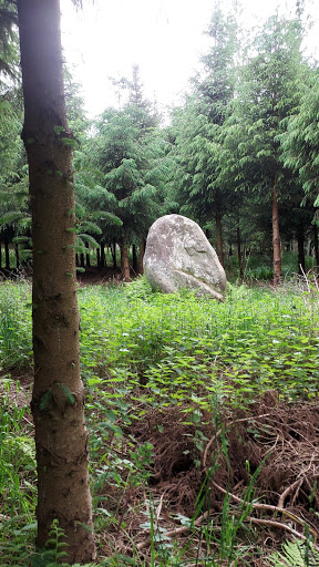 Menhir de Kerhuel - Thumbnail