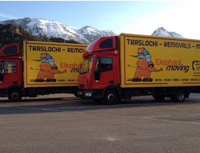 Photos of Elephant Moving Traslochi Trasporti nazionali-internazionali
