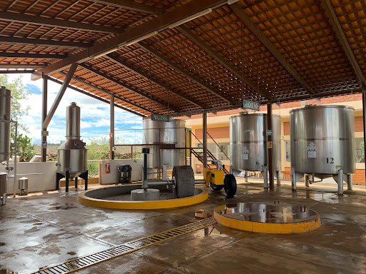 Estación de Autobuses de Tequila - Thumbnail