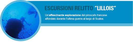 Centro Sub Scalea - Visual