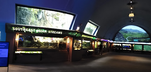 Shedd Aquarium Store - United States