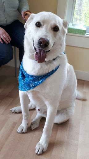 Hastings Lake Animal Hospital Gallery - Canada