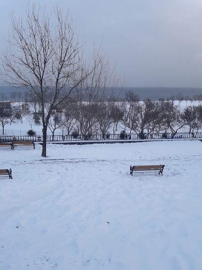 Photos of Toprak Futbol Sahası