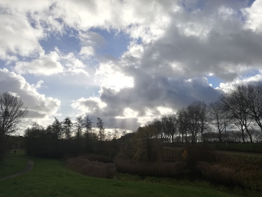 Erasmuspark - Visual