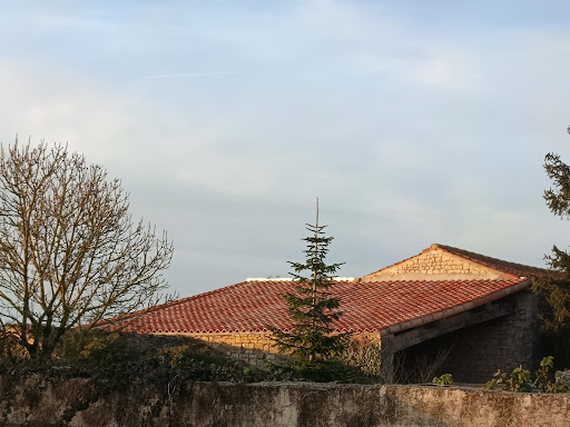 Photo de OB2C à Thorigné (79370)