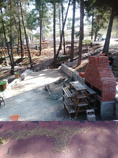 park
